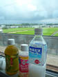 P1010187.jpg