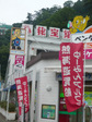 P1010244.jpg